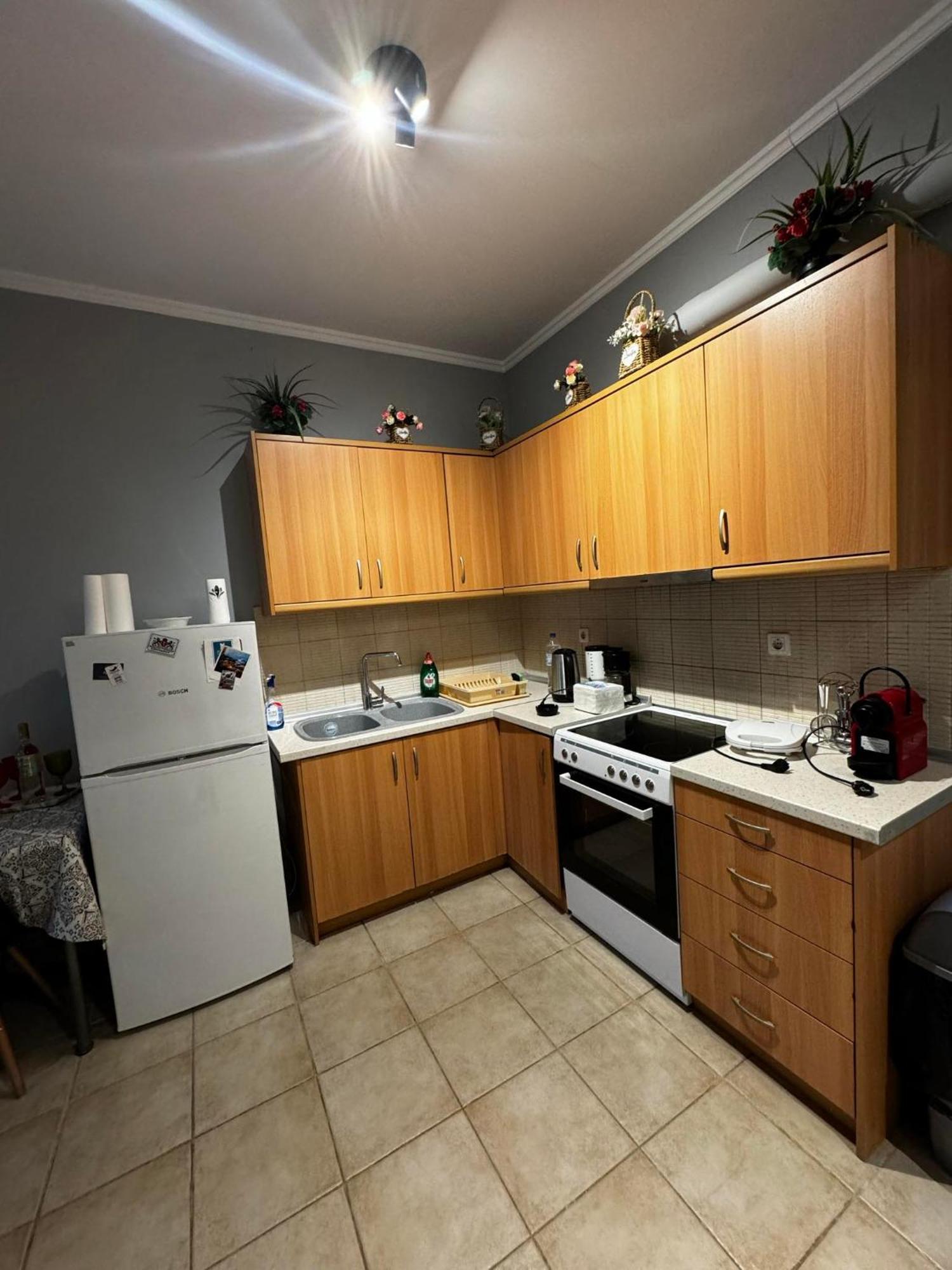 Dimitris House Διαμέρισμα Αλεπού Εξωτερικό φωτογραφία